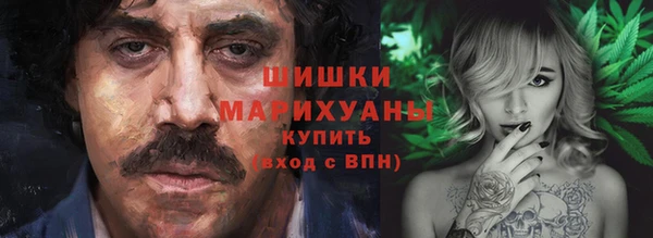 мдпв Елизово