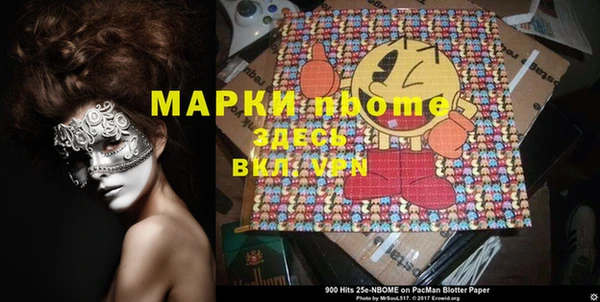 амф Гусев