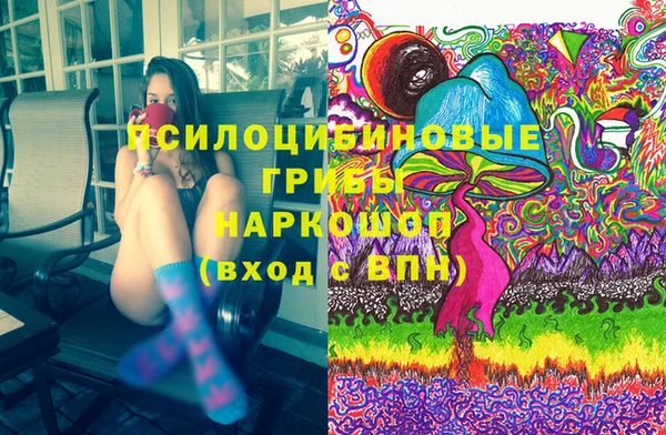 мдпв Елизово