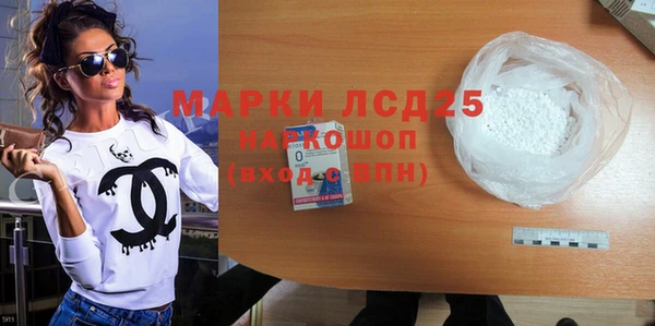 амф Гусев