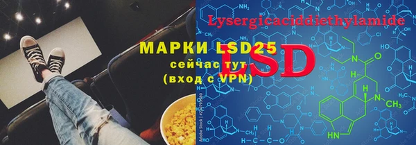 ПСИЛОЦИБИНОВЫЕ ГРИБЫ Гусь-Хрустальный