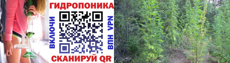 Купить закладки  Судак  МАРИХУАНА Ganja 